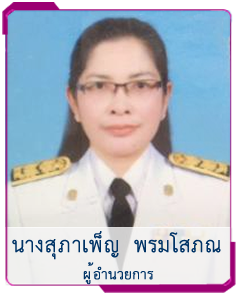 ผู้อำนวยการ